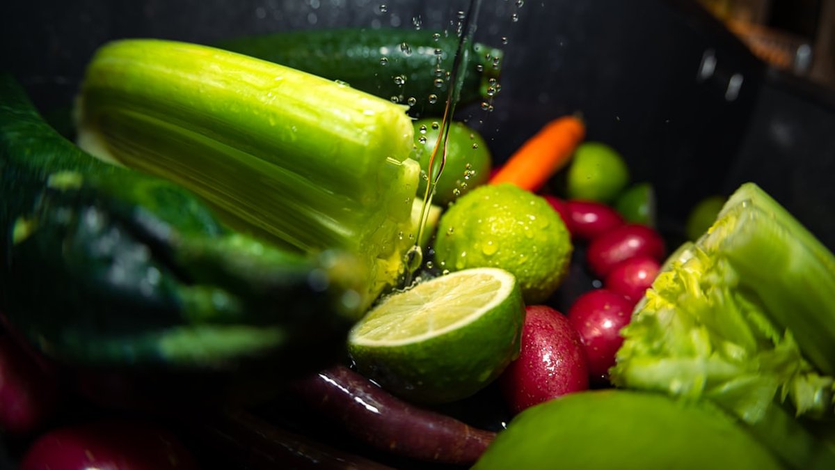 Alimentos sostenibles para perros: ¿más caros y mejores?