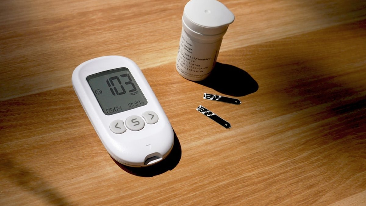 Baja sal e hipertensión: guía práctica para perros