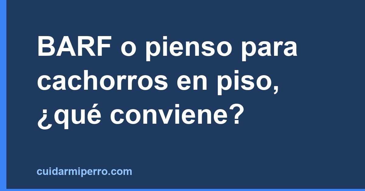 barf o pienso — imagen ilustrativa