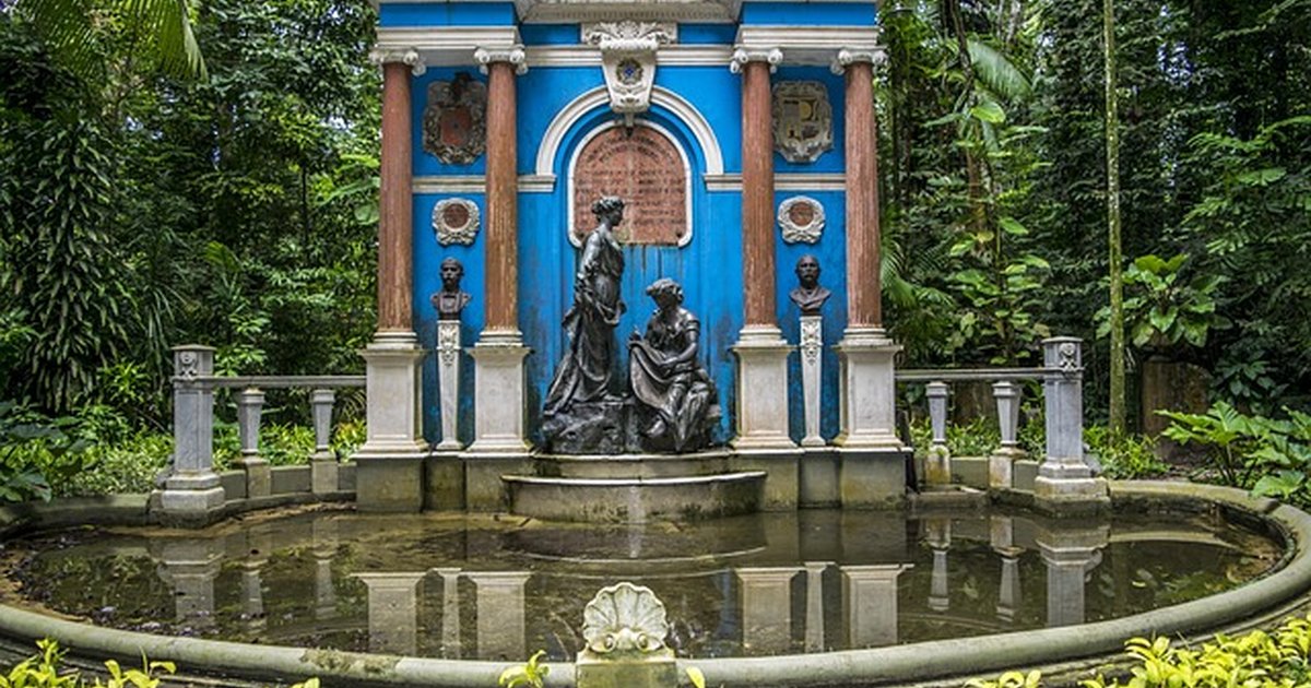 Comida para razas braquicéfalas: guía práctica y segura