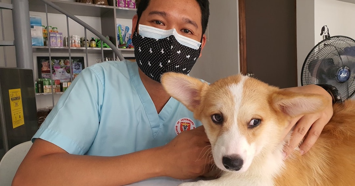 El cuidado de mascotas sale más caro por un fallo común