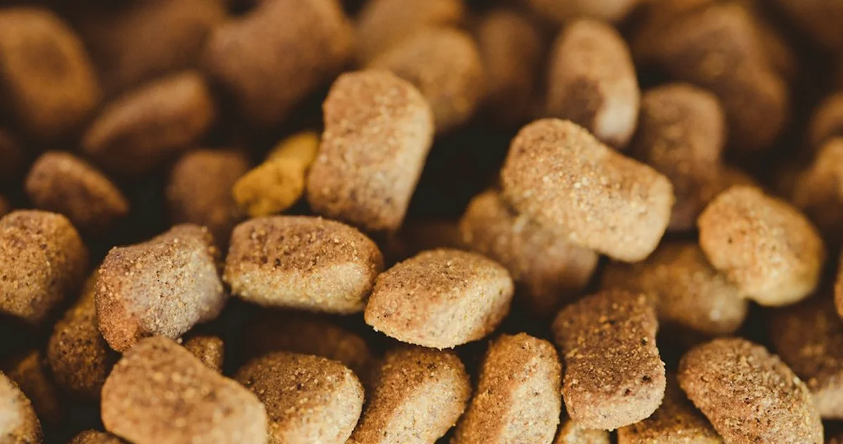 Elegir Purina por gama cambia cuánto come tu perro