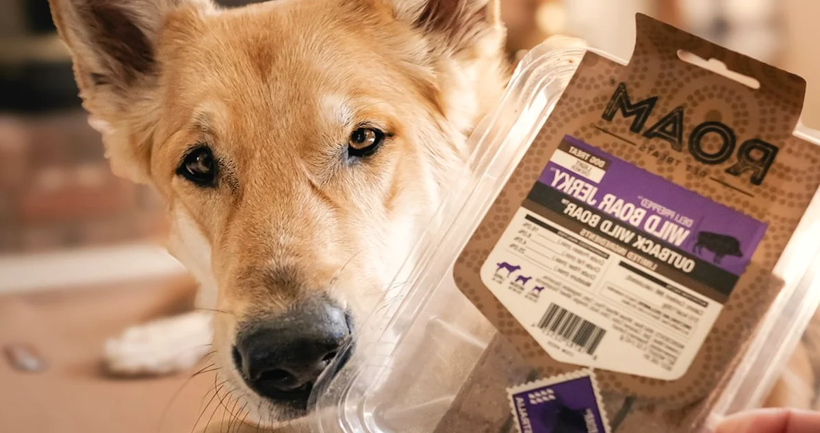 La marca de comida para perros importa menos que la etiqueta