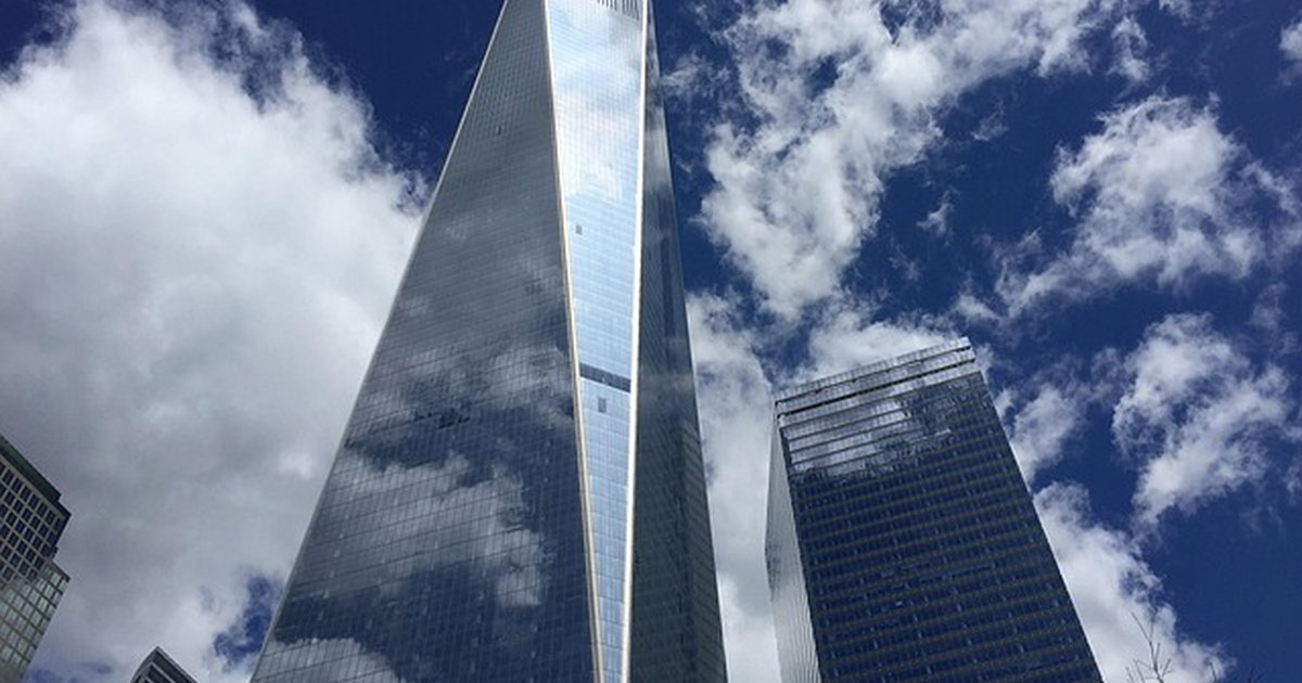 Órtesis y soportes caninos: cómo elegir, ajustar y mantenerlos