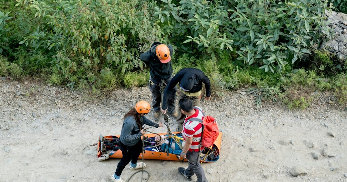 Preparación para adopción (rescue): plan práctico y realista