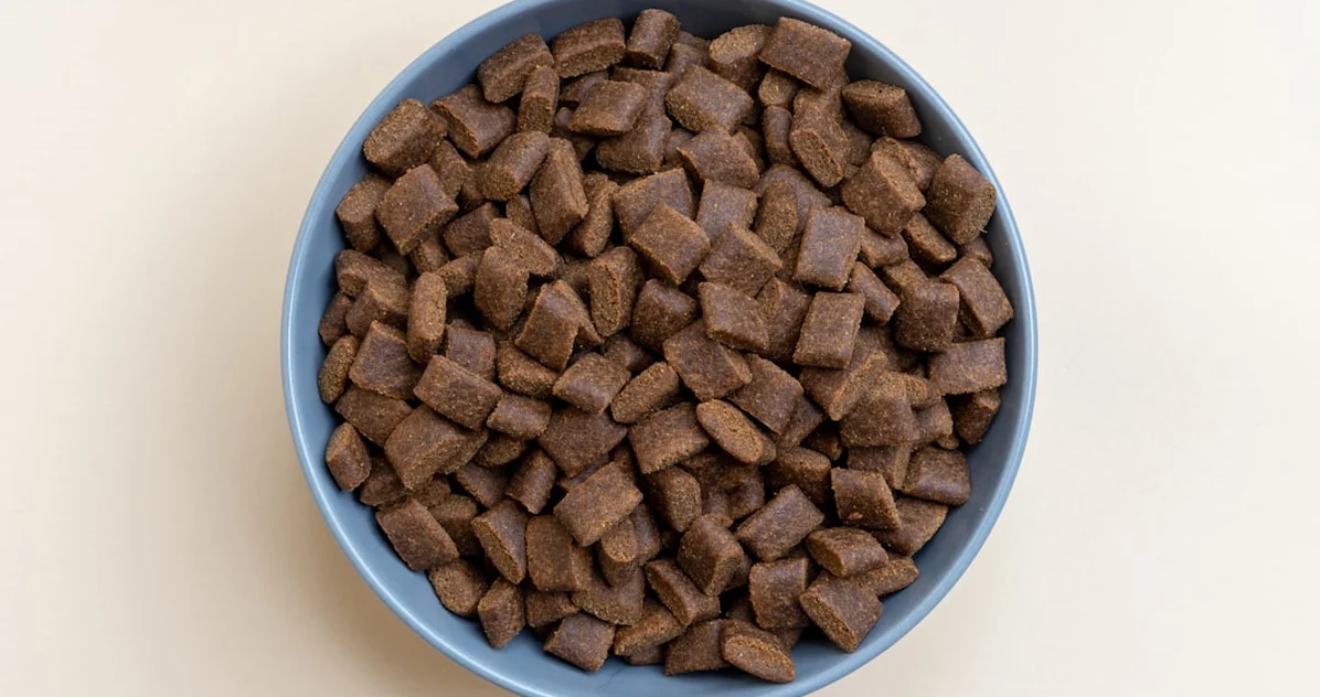 Retirada de comida enlatada para perros: qué hacer