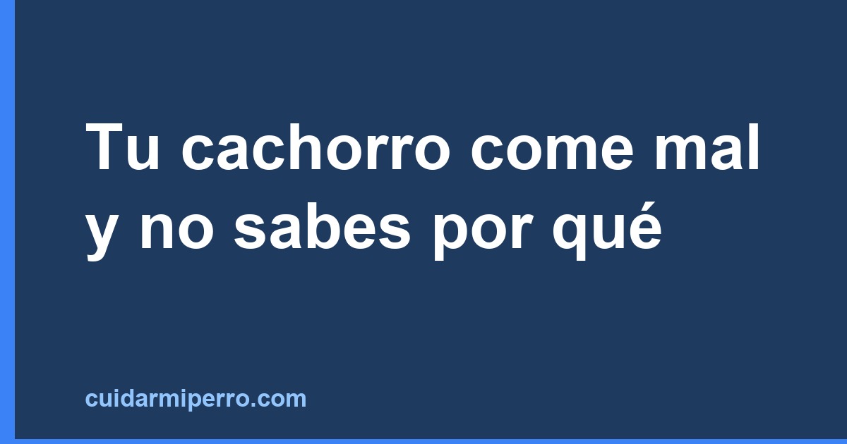 Tu cachorro come mal y no sabes por qué