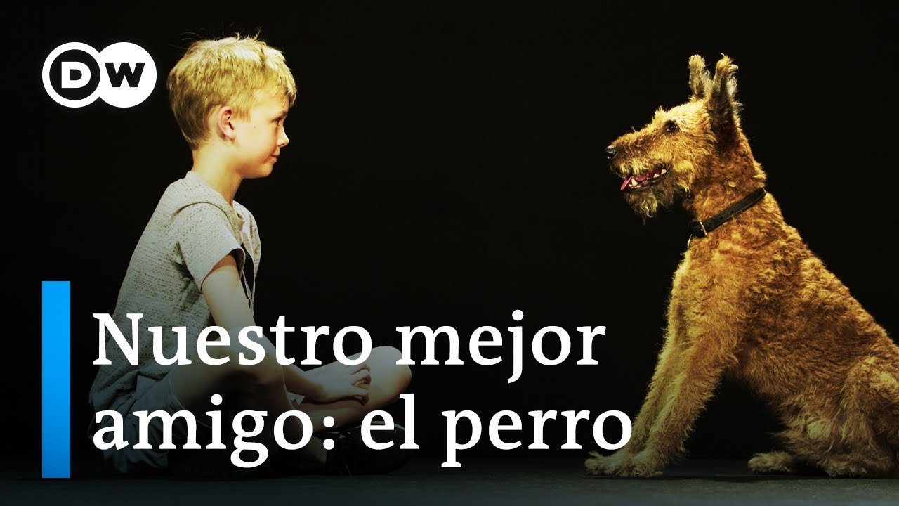 3yLoofhSdVc