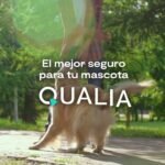 Protege a tu mascota con el mejor seguro de Qualia ¡Hoy es el día!
