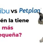 Seguro especializado para la salud de tu perro: plan veterinario