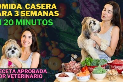 Comida natural para perros: nutrición completa y saludable