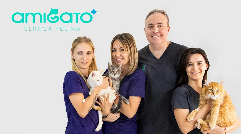 Castilla-La Mancha Veterinario