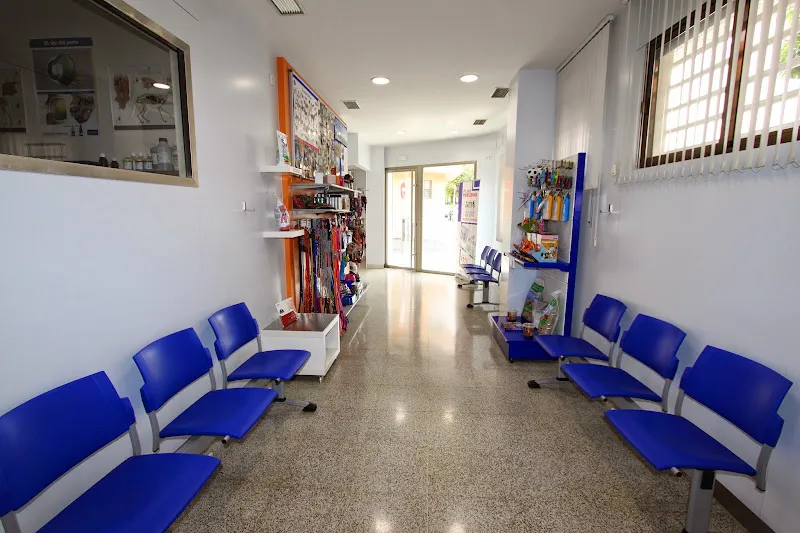 Buenavista Veterinarios 1 Castilla-La Mancha Servicio de urgencias veterinarias