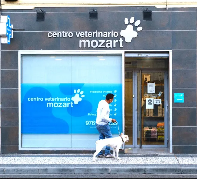 El Arca 1 Tarragona Hospital veterinario