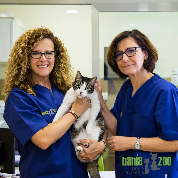 Comunidad de Madrid Farmacia veterinaria