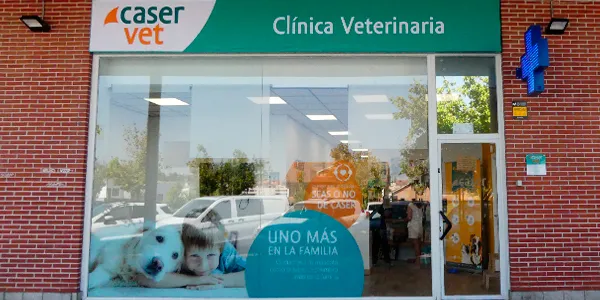 Hospital Veterinario Catarroja | MiVet 1 Extremadura Hospital veterinario