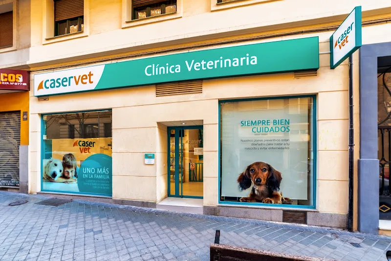 Veterinaria Peñalara 24H 1 Sevilla Hospital veterinario