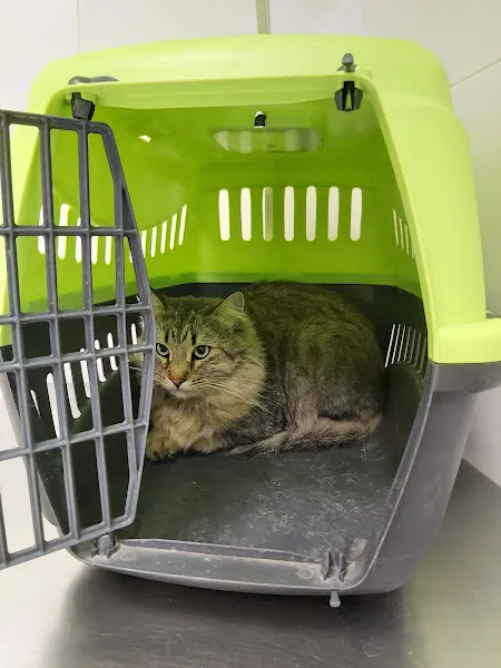 Vet2Go 1 Islas Baleares Hospital veterinario