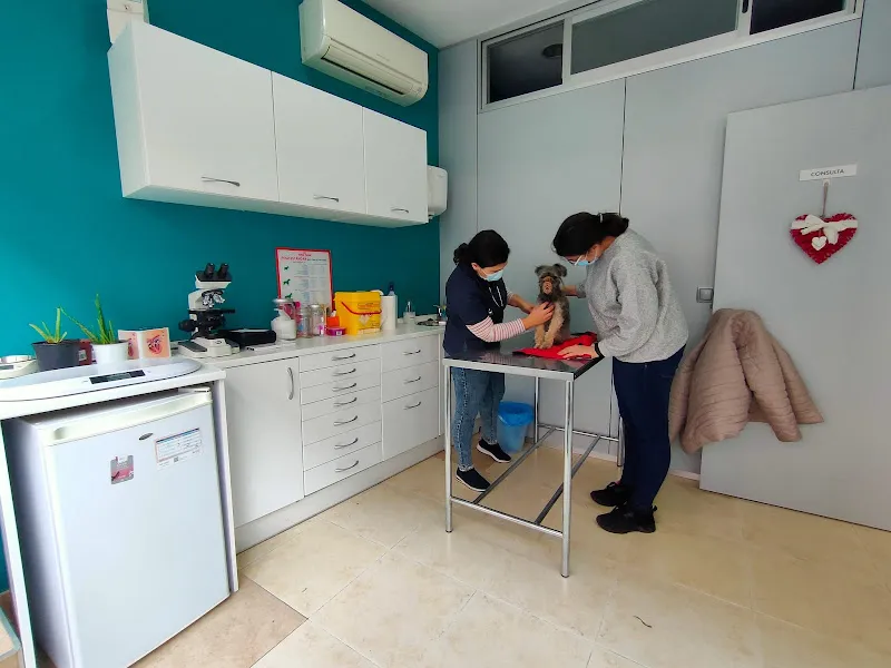 Clínica Veterinaria Sedano 1 Castilla-La Mancha Farmacia veterinaria
