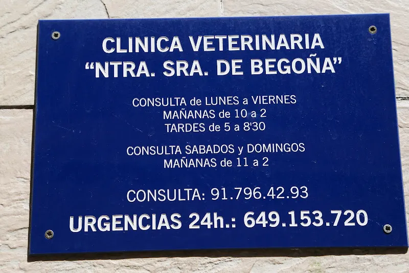 Hospital Veterinario Atlántico | MiVet 1 Aragón Hospital veterinario