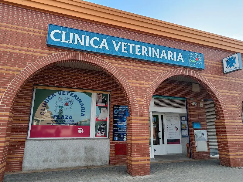 Yolanda Arroyo de Mingo 1 Castilla-La Mancha Veterinario
