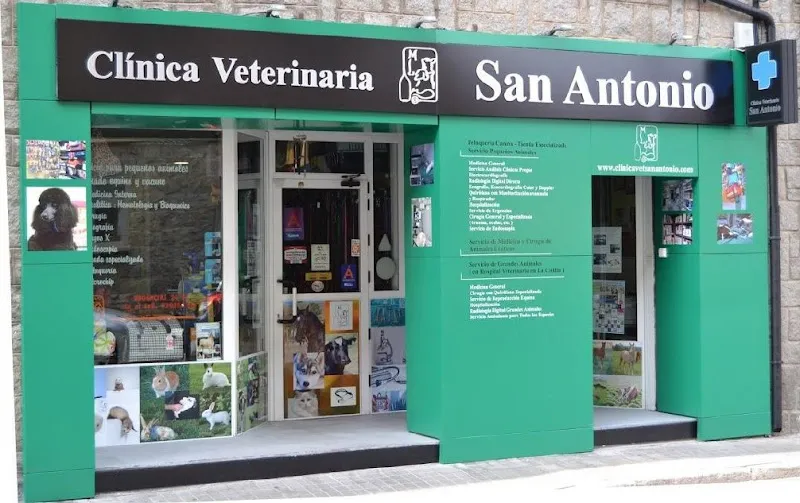 Toledo Hospital veterinario