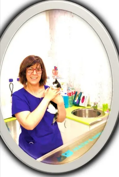 Hospital Clínico Veterinario Universidad de Córdoba 1 La Rioja Hospital veterinario