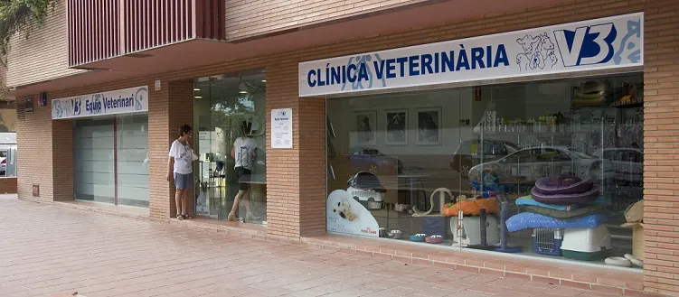 Hospital Veterinario Costa Brava 1 Comunidad de Madrid Hospital veterinario