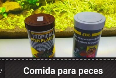 Comida premium para perros: calidad y nutrientes garantizados