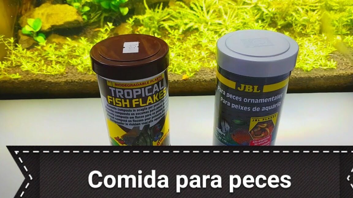 comida premium