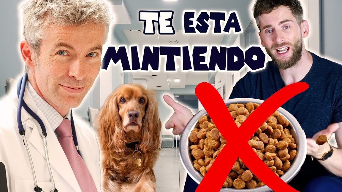 dieta barf