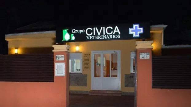 AliVet Clínica Veterinaria (Veterinario Urgencias Alicante 24h) 1 Zamora Servicio de urgencias veterinarias