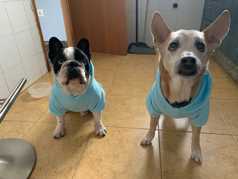 Castilla-La Mancha Servicio de urgencias veterinarias