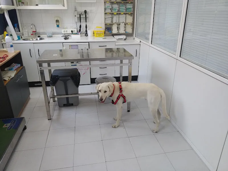 Clínica Veterinaria Carlos Vázquez Fernández 1 Castilla-La Mancha Veterinario