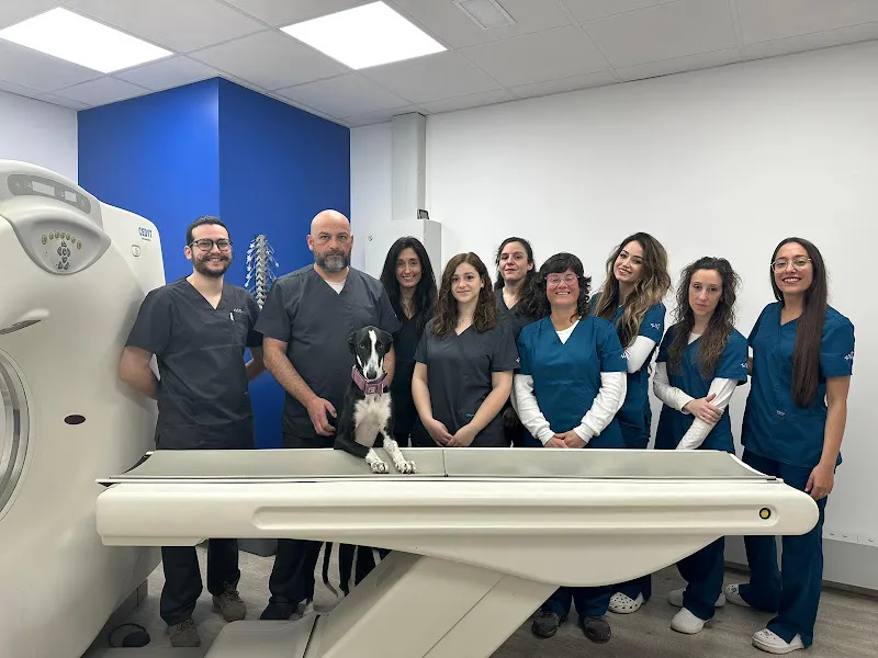 Tarragona Hospital veterinario