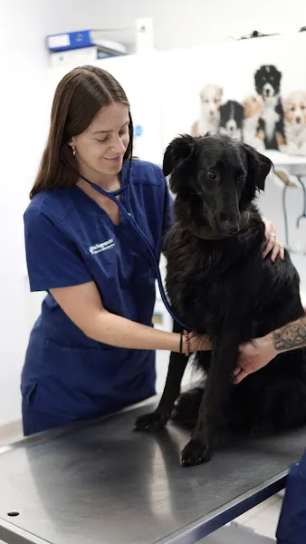 Clínica Veterinaria Arol | MiVet 1 Castilla-La Mancha Hospital veterinario