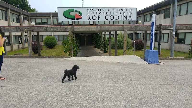 Aragón Hospital veterinario