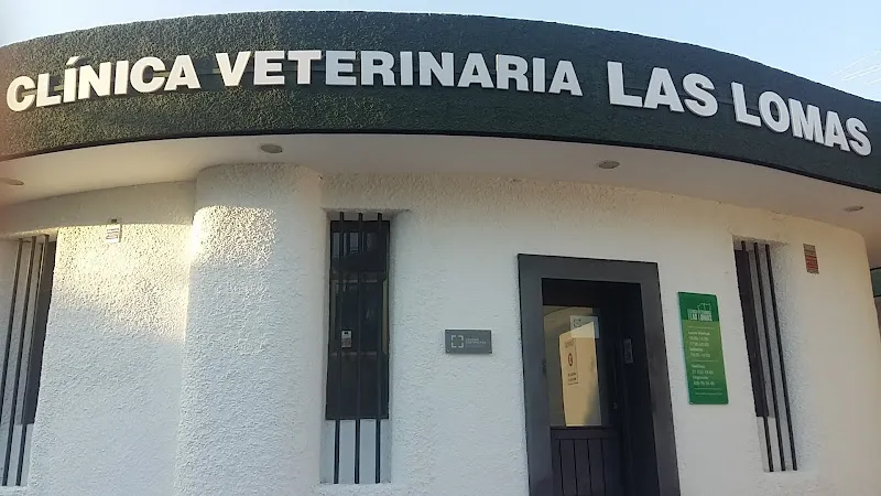 Zoopigan 1 Zaragoza Servicio de urgencias veterinarias
