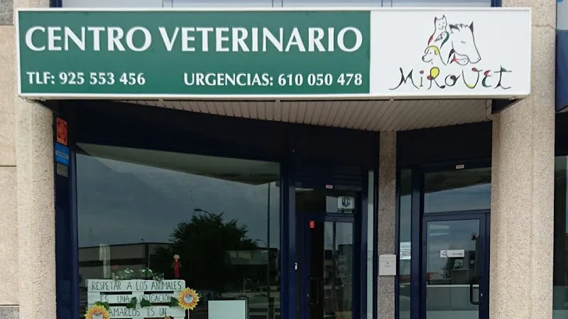 Urgencias Veterinarias Zaragoza 1 Islas Baleares Hospital veterinario