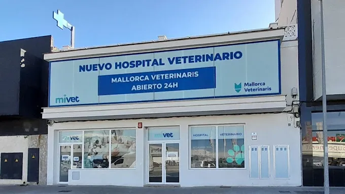 María Rosa Lorenzo Jodra 1 Comunidad de Madrid Veterinario