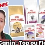 Mejor pienso hipoalergénico para perros: Royal Canin vs Hill's