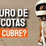 Seguro de responsabilidad civil para perros: coberturas y beneficios