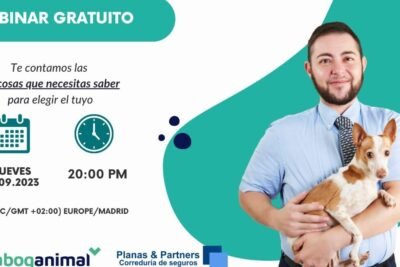Seguro especial para perros: Protege a tu compañero