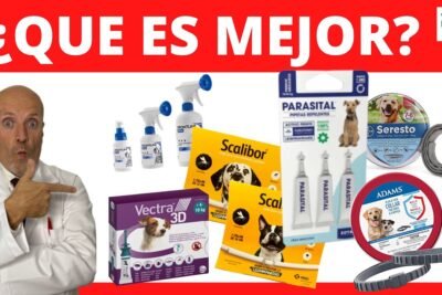 Protección prolongada contra pulgas y garrapatas: Collar Antipulgas Bolfo